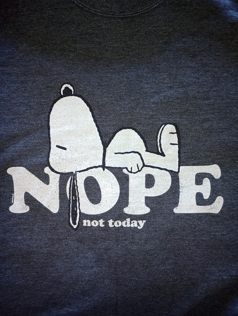 Snoopy Crewneck Sweatshirt - Picture 2 of 4